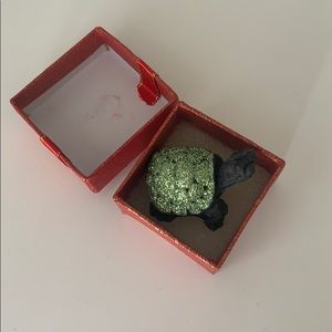 cute turtle i got on vacation in mexico